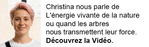 arbre, énergie, vie