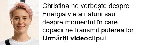 copaci, viata, energie